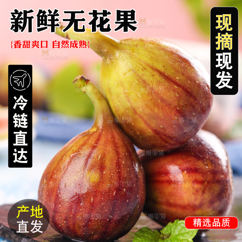 黑石板的紫皮无花果