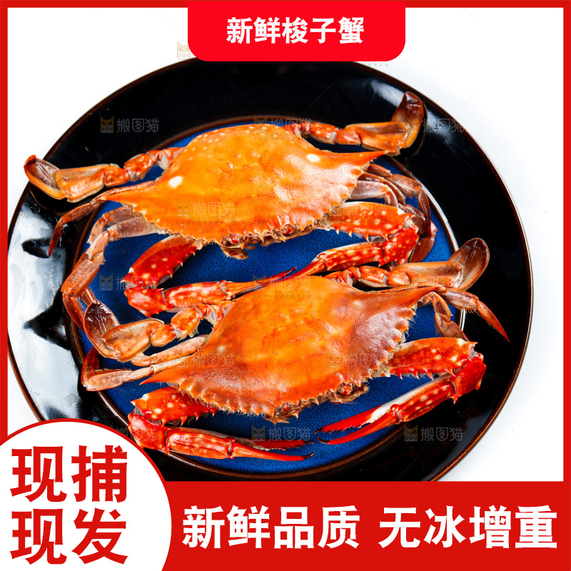 白底上放着一盘梭子蟹