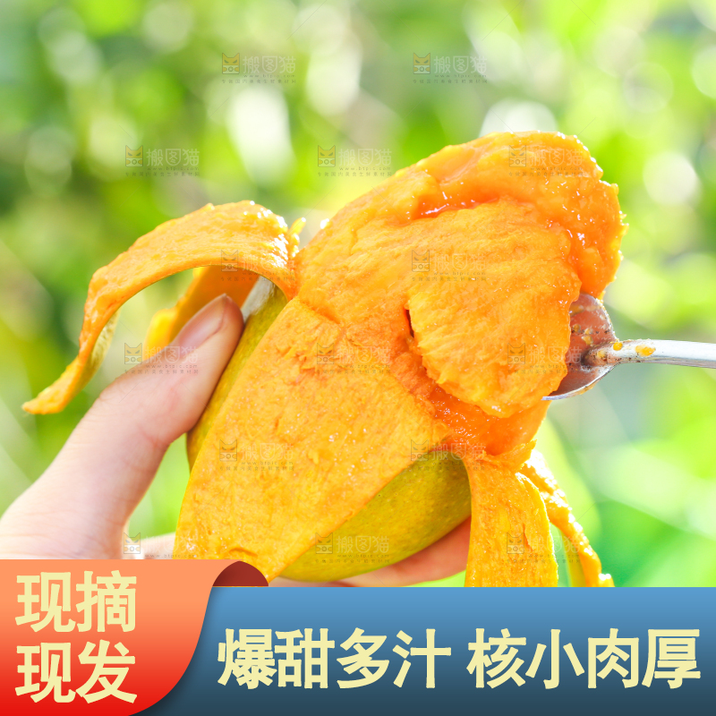 勺子里的椰香芒果肉