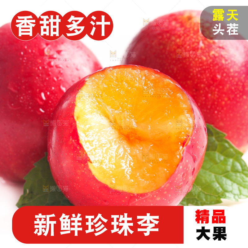 白底上的珍珠李