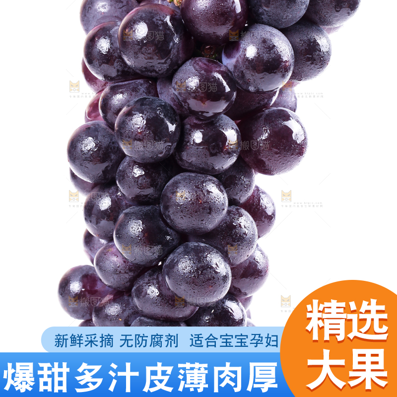手拿东北巨峰葡萄