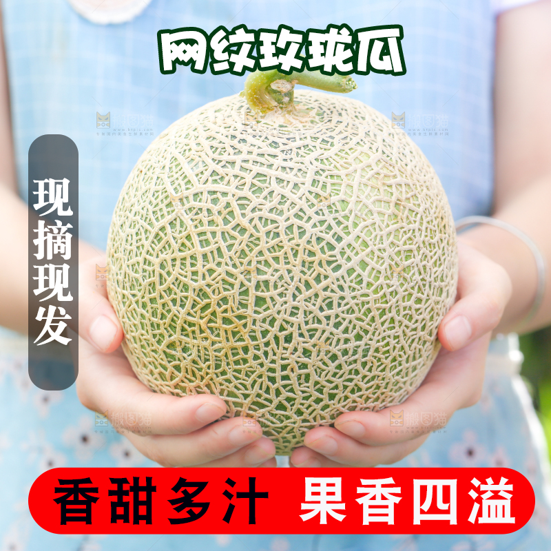 手拿玫珑瓜