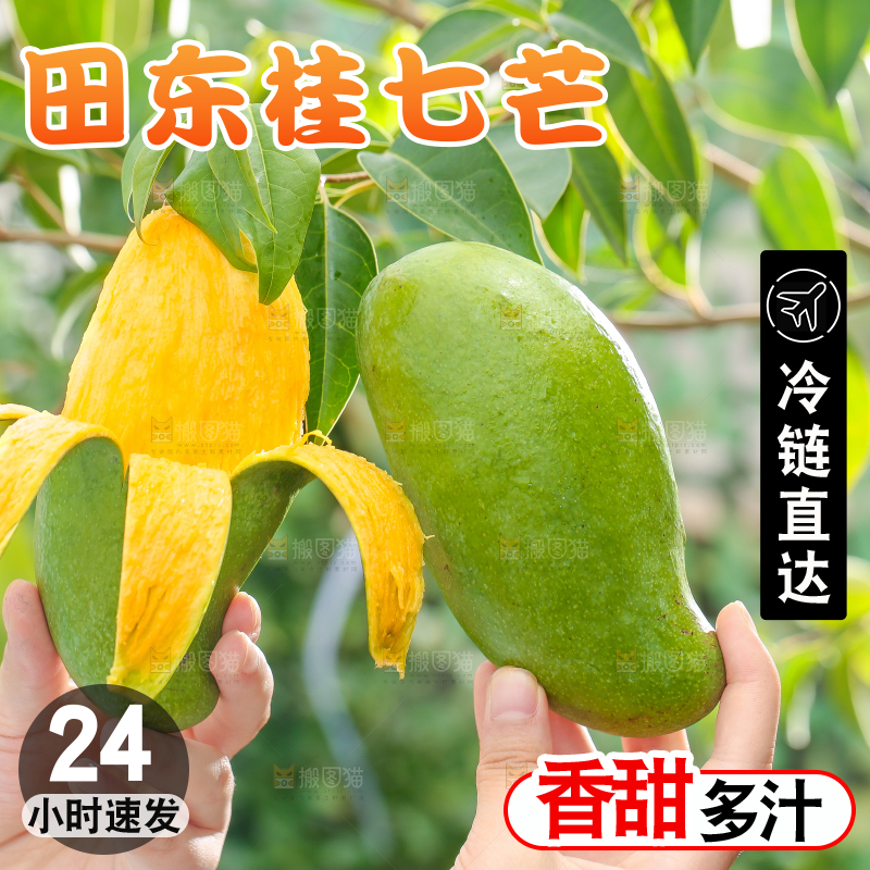 手拿剥皮的田东桂七芒