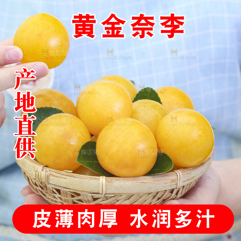 手拿一篮九峰山黄金奈李