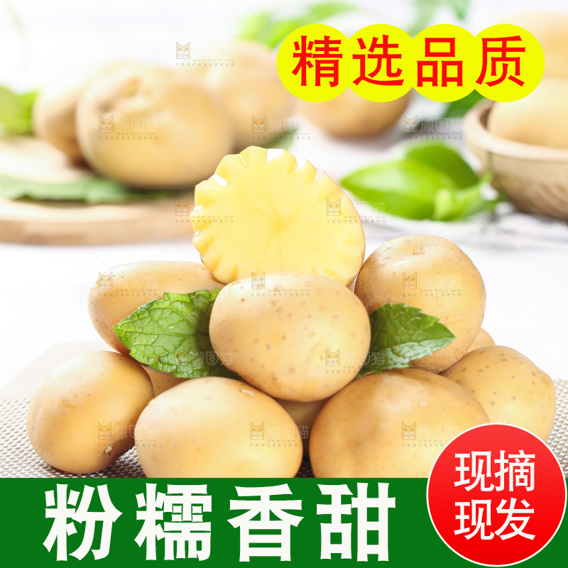 浅底上放着一堆小土豆