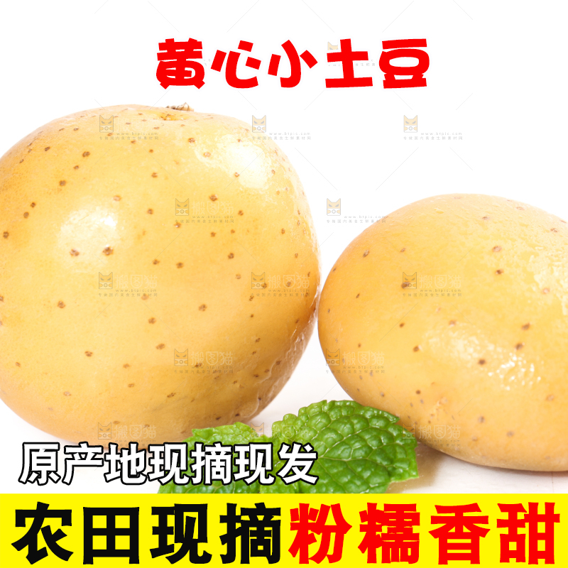 白底上的小土豆