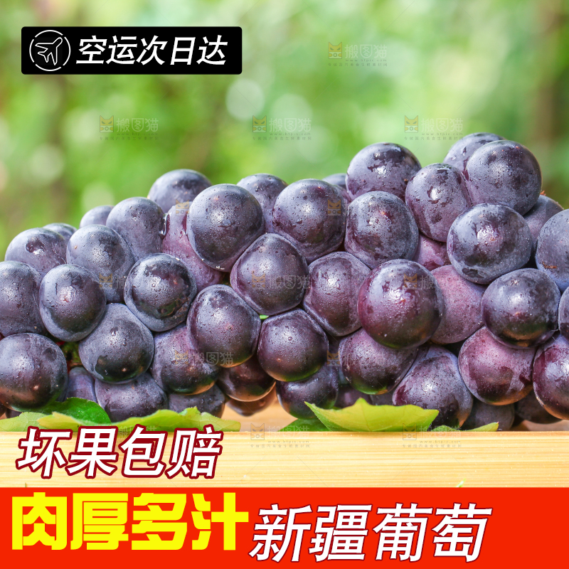 草地上的新鲜葡萄