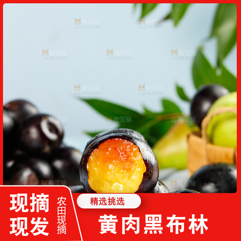 蓝底上放着一盘黄肉黑布林