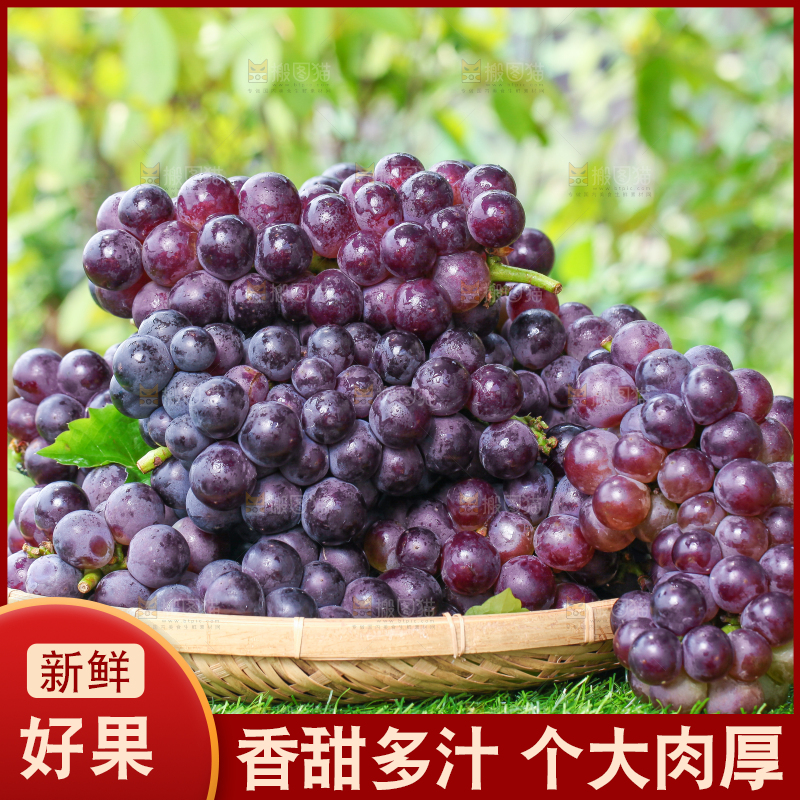 草地上放着一盘巨峰葡萄
