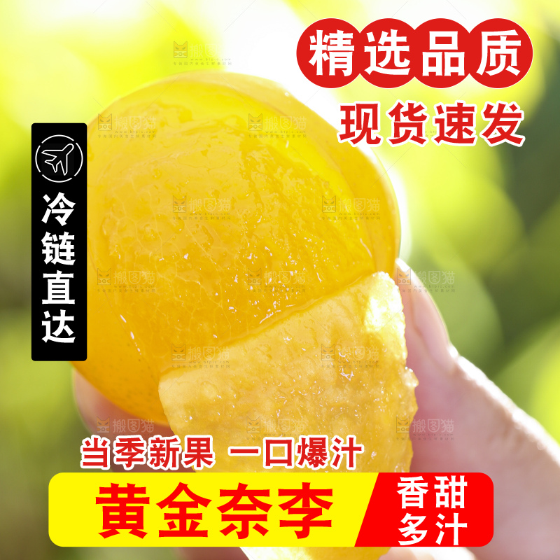 手拿剥皮的九峰山黄金奈李