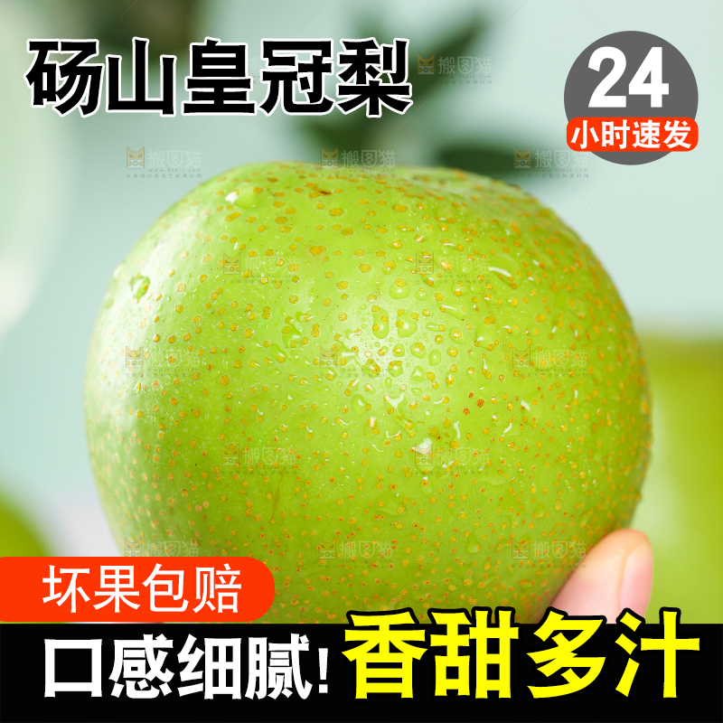 手拿砀山青梨