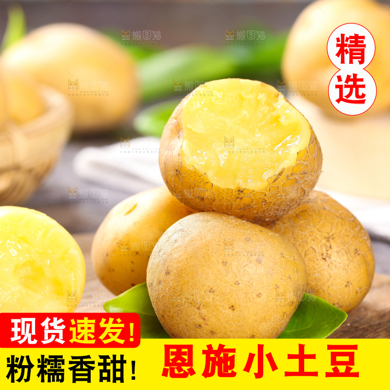 木底上的云南黄心小土豆