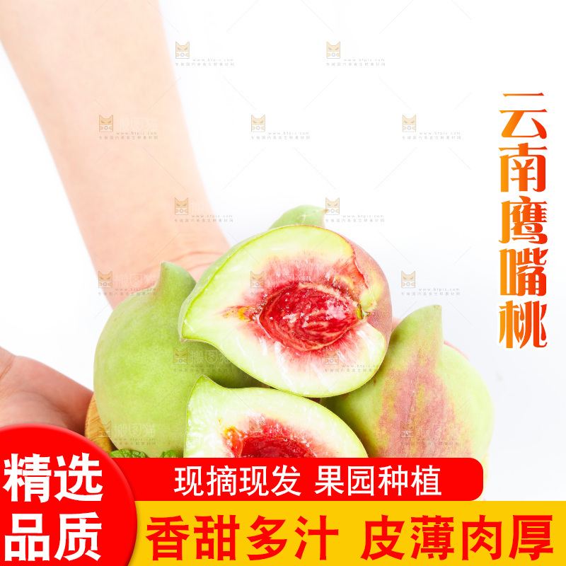 手拿着的鹰嘴桃