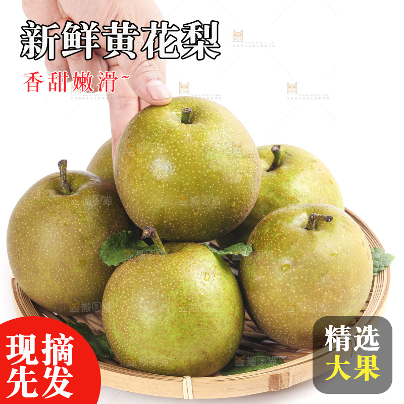 手拿一个黄花梨
