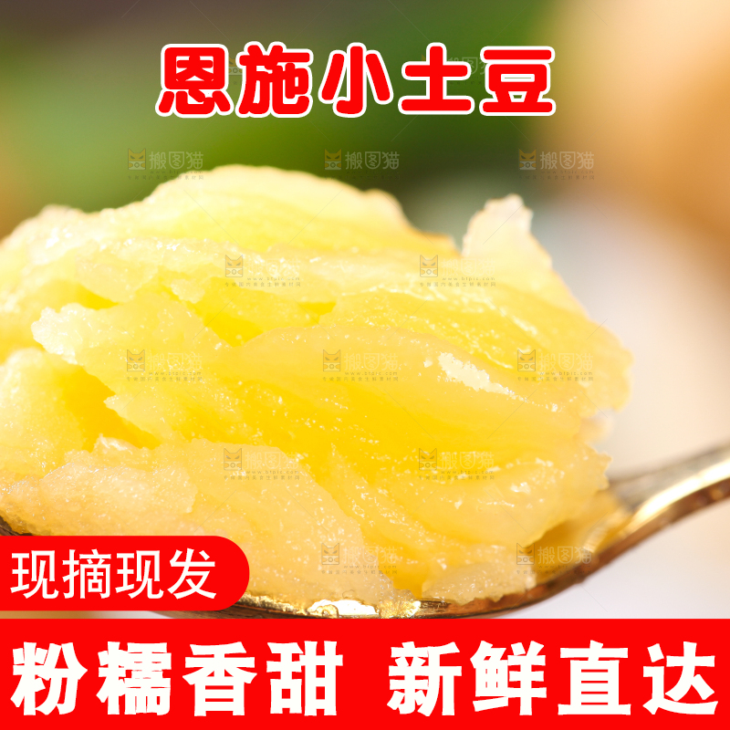 勺子里的黄心熟土豆泥