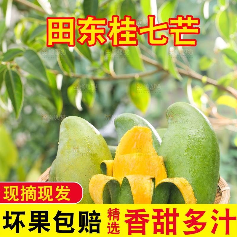 手端一盘剥皮的桂七芒
