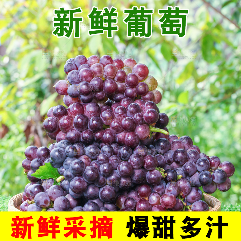 草地上放着一盘巨峰葡萄