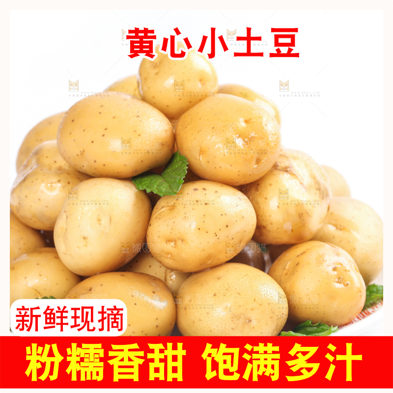 白底上放着一盘小土豆