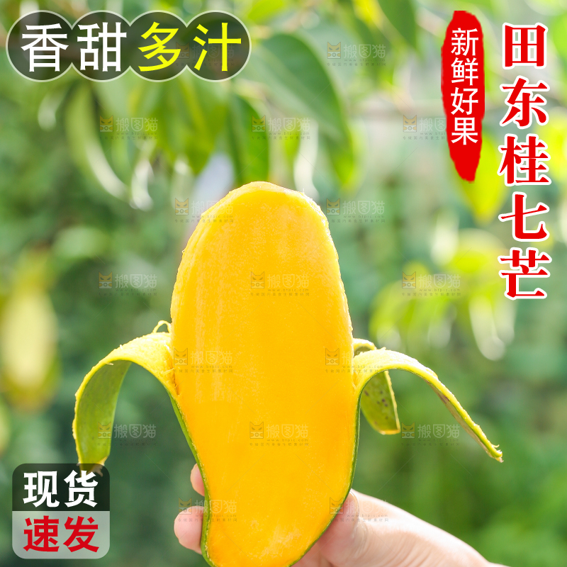 手拿剥皮的田东桂七芒