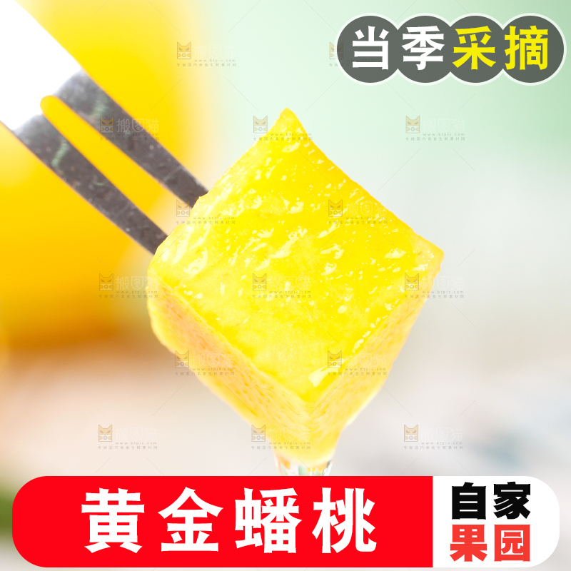 叉子叉着一块黄蟠桃果肉
