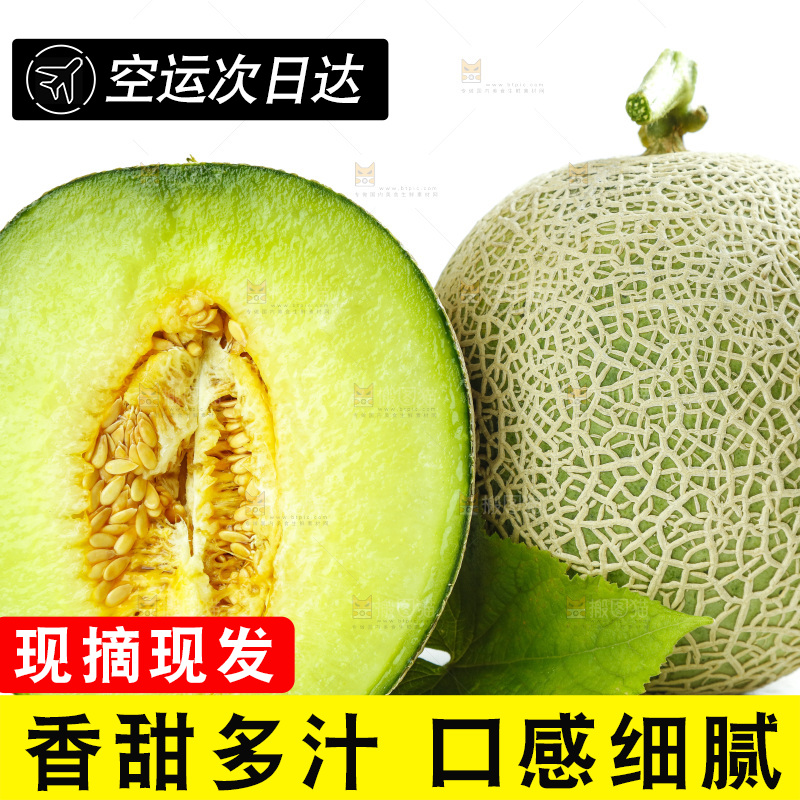 切开的玫珑瓜蜜瓜放在白底上