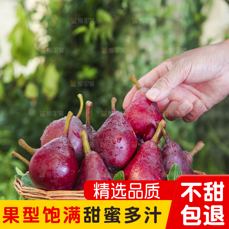 草地上放着一筐红啤梨