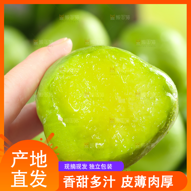 手拿咬开的脱骨奈李
