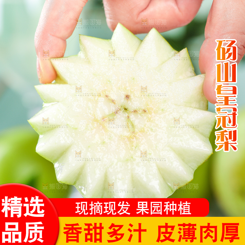 手拿切开的翠冠梨