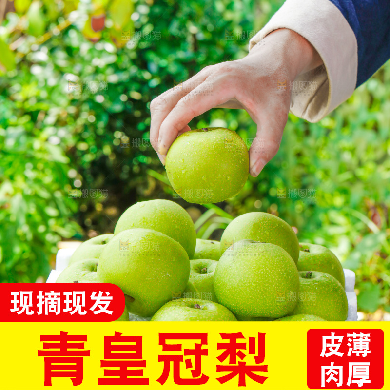手拿青皮苹果梨