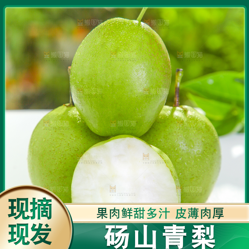 白石板上的陕西早酥梨