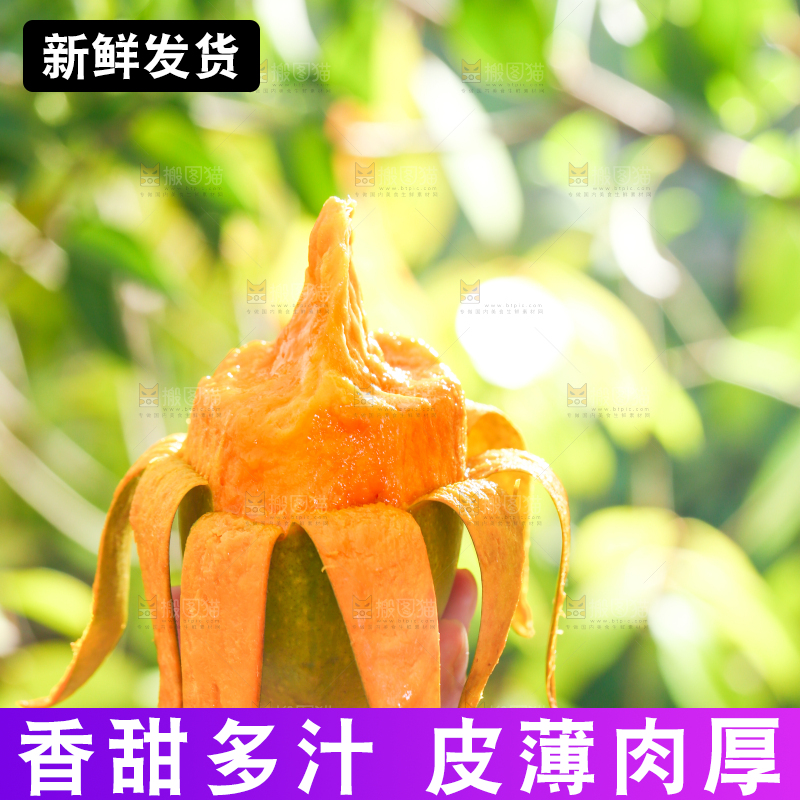 手拿剥皮的椰香芒