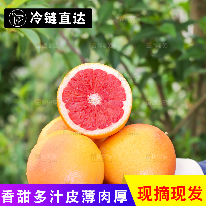 手里拿着南非红心西柚