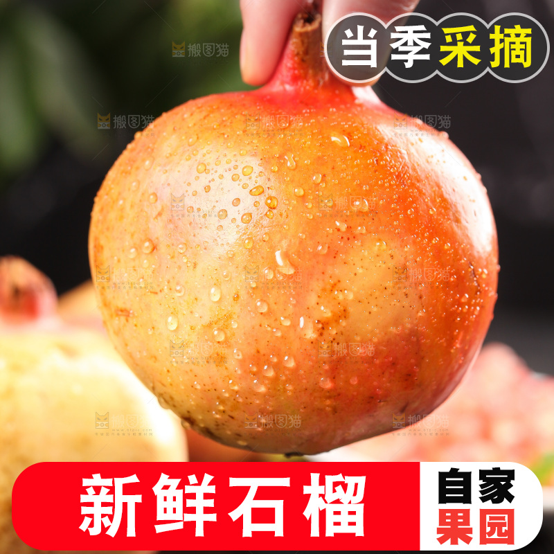 手拿蒙自石榴
