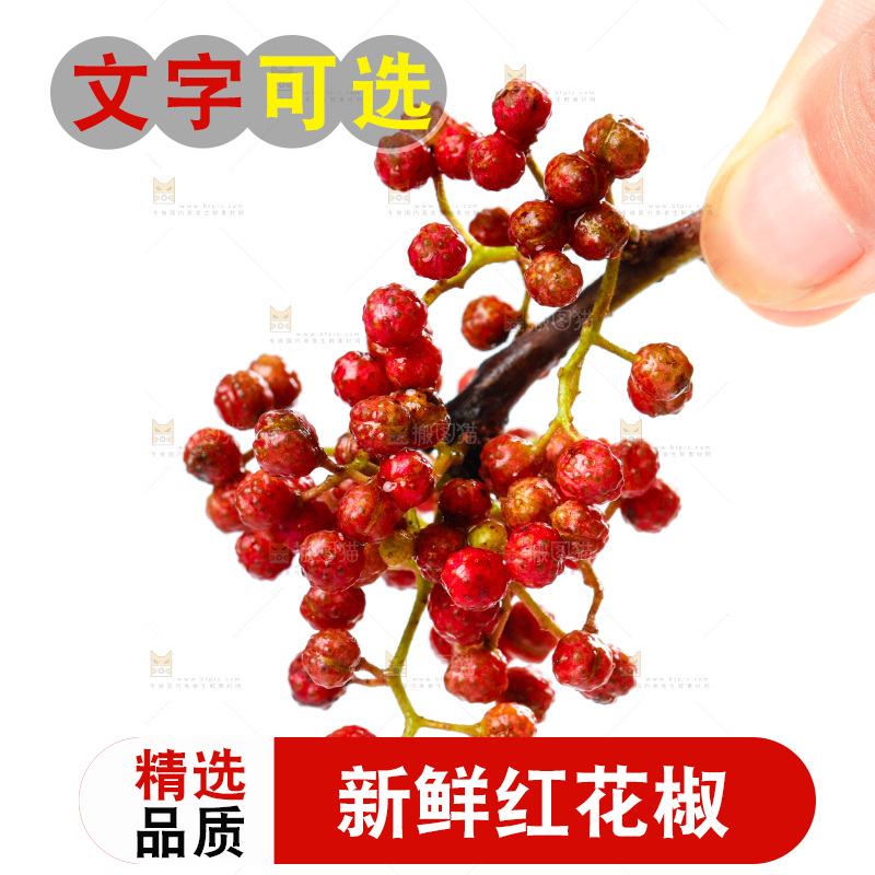 手拿新鲜花椒