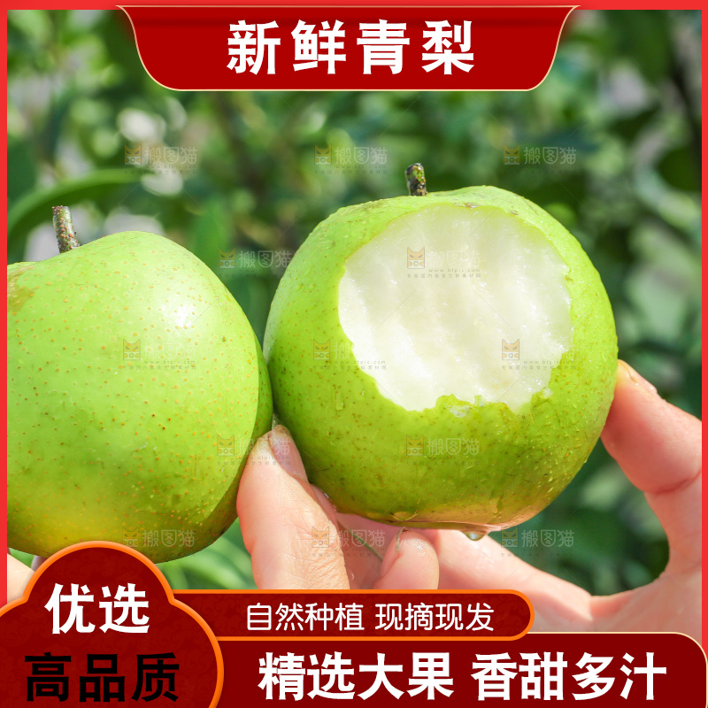 手里拿着砀山苹果梨
