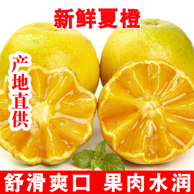 切开的夏橙放在白底上