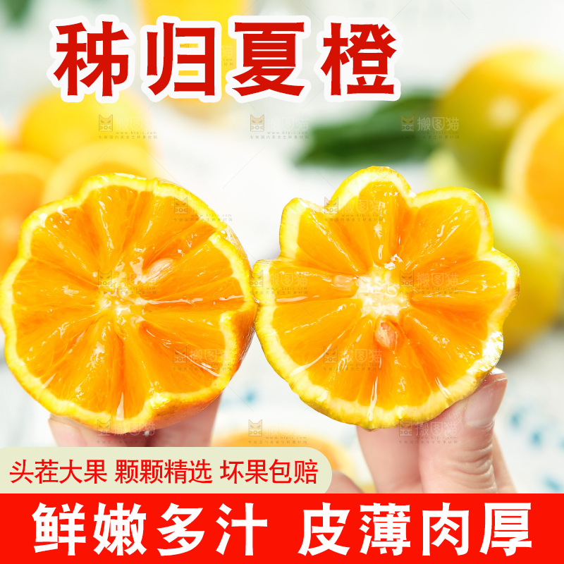 手拿切开的夏橙