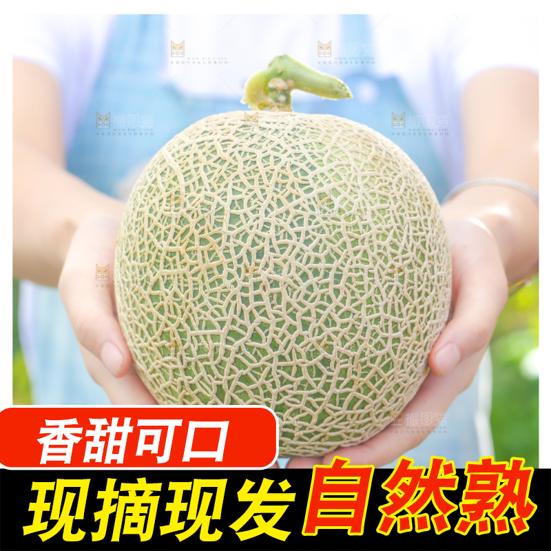 手拿玫珑瓜