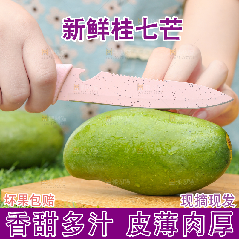 草地上的桂七芒