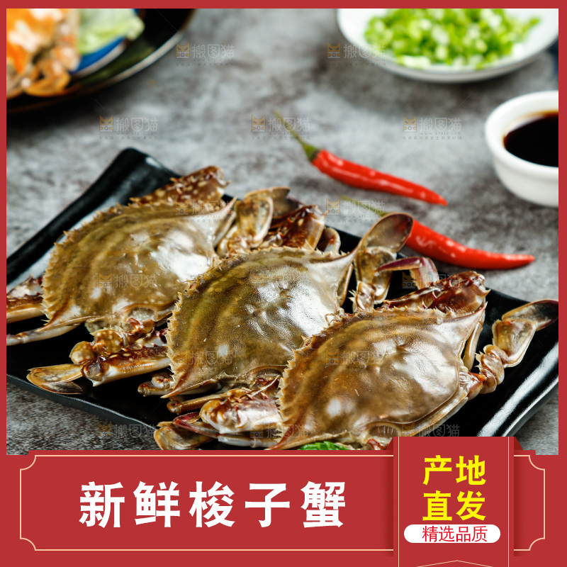 石板上放着一盘梭子蟹