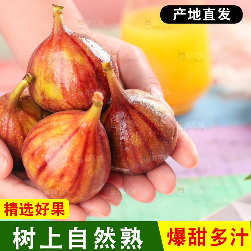 手拿无花果