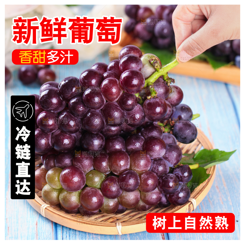 蓝底上放着一盘东北巨峰葡萄
