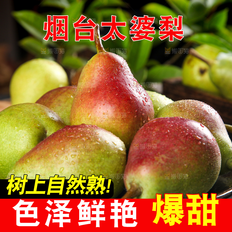 黑石板上的太婆梨