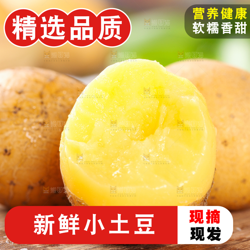 木底上的云南黄心小土豆