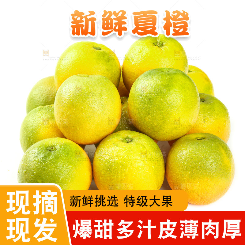 白底上的夏橙
