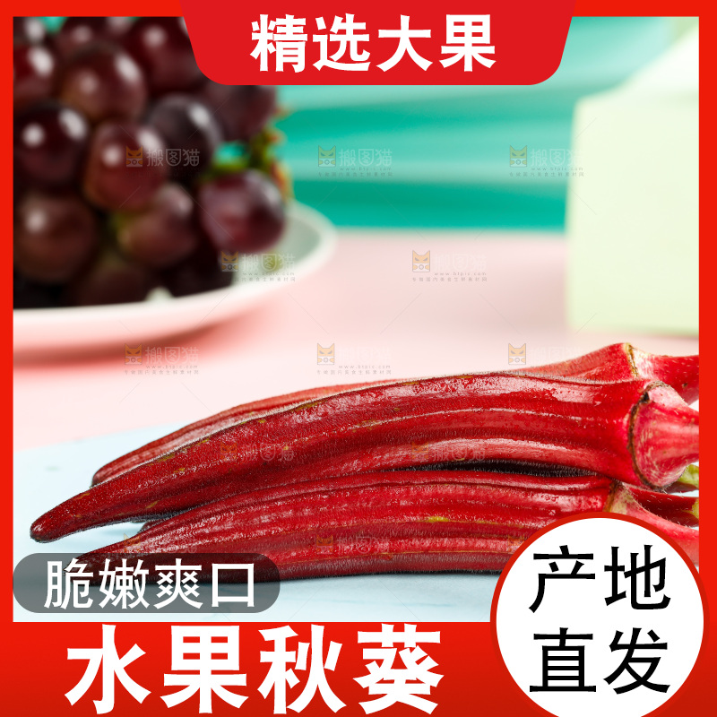 浅底上的红色秋葵
