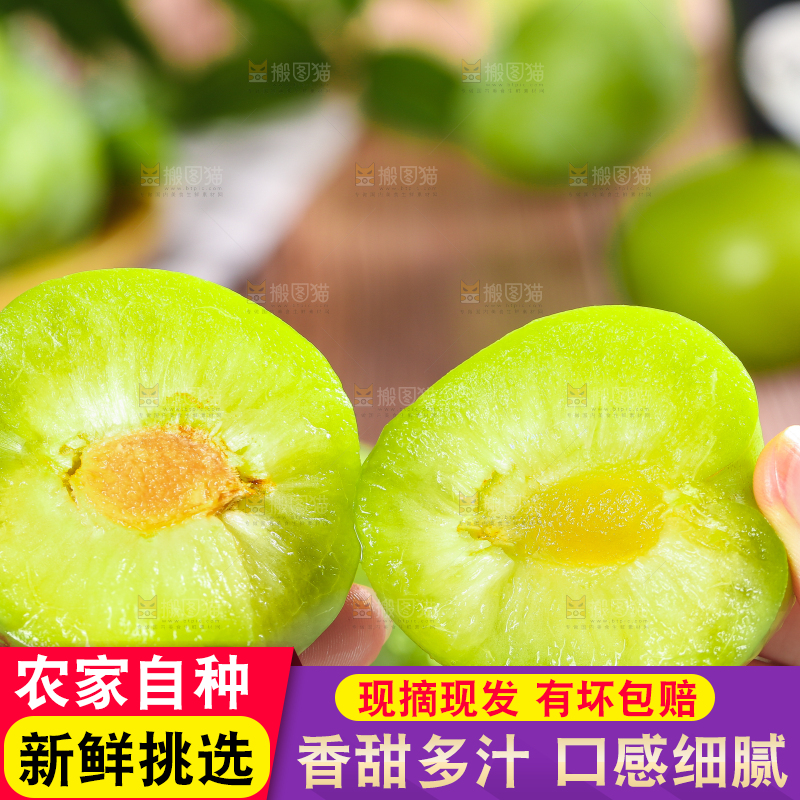 手拿掰开的青奈李