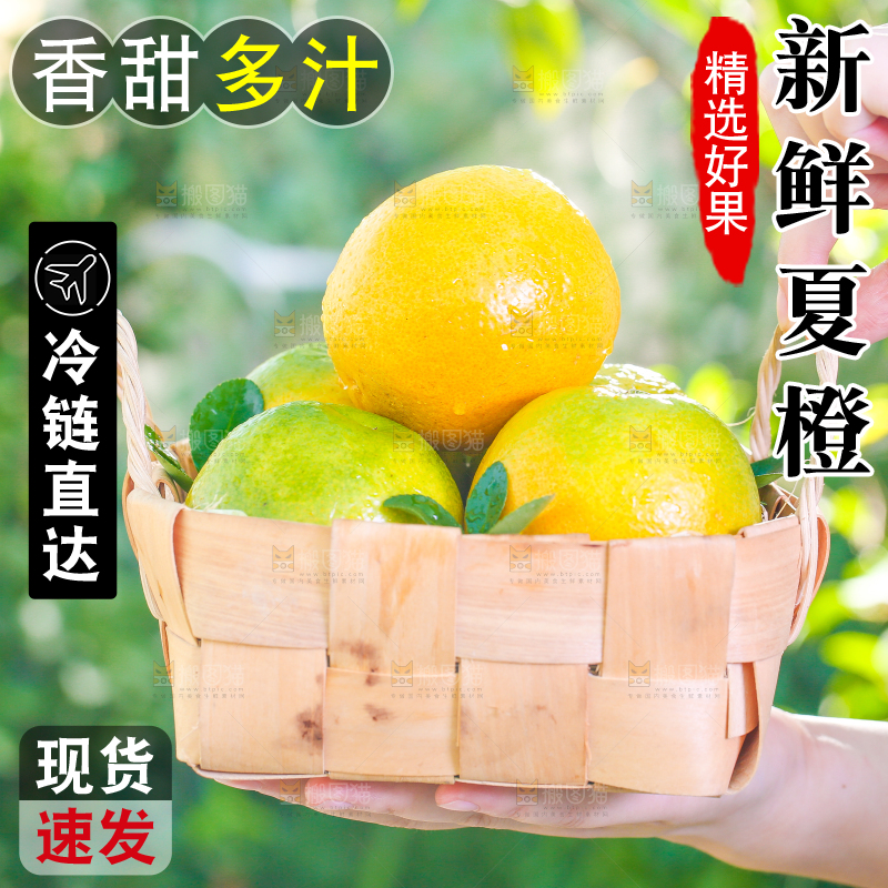 手拿一筐夏橙