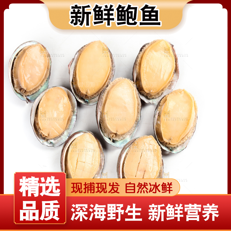 白底上放着新鲜剥开的鲜鲍鱼