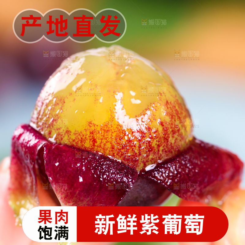 手拿剥皮的东北巨峰葡萄
